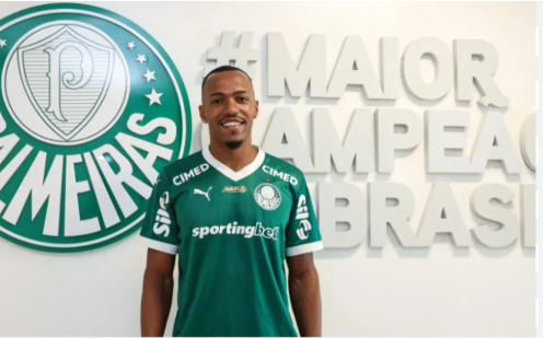 which league is Palmeiras in