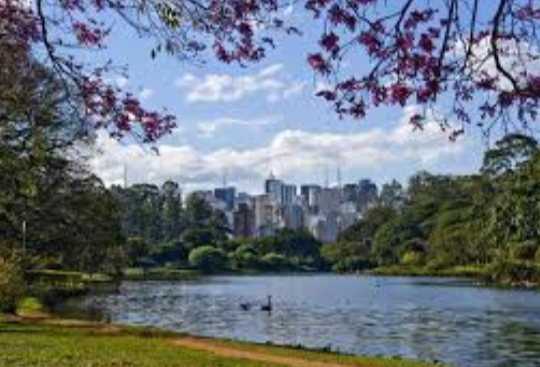 Rui Costa and Rafinha are responsible for the remainder of São Paulo's season.